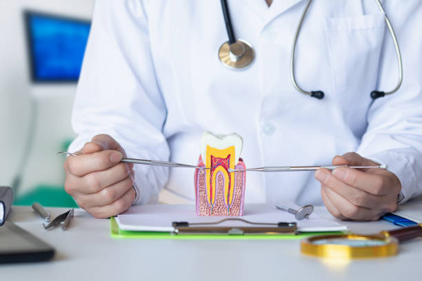 Best Emergency Root Canal Treatment in Stonewood, WV